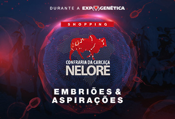 SHOPPING CONFRARIA DA CARCAÇA